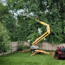 Best Lawn Pest Prevention  in , AZ