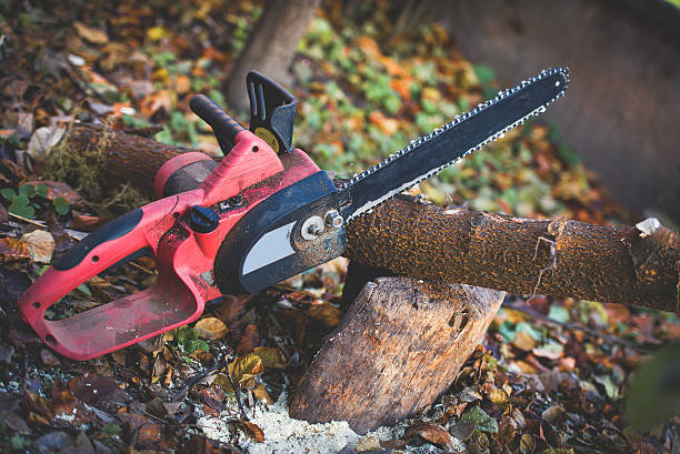 Best Weed Control  in , AZ